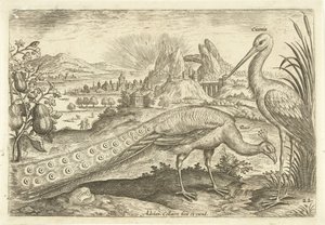 Two Birds in a Landscape (Avivm Vivae) (Birds)