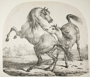 Wild Horses Fighting, c.1820