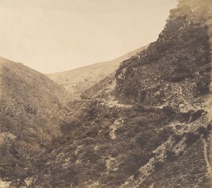On the Road to Watersmeet, Near Lynton, North Devon