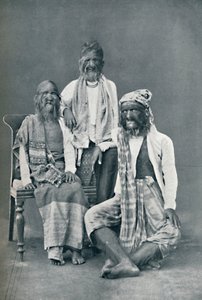 A Hairy Family of Mandalay, Burma