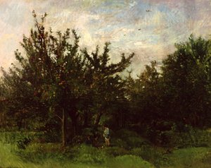 An Apple Orchard