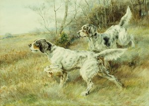 The Hunt