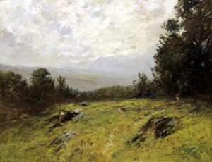 Hillside