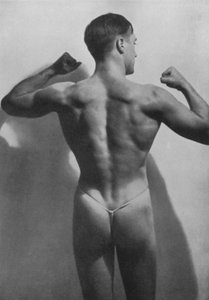 Illustration for The Male Body