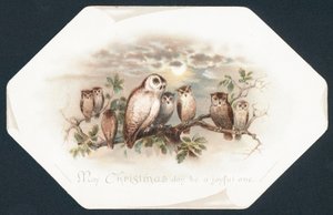Owls Sitting on a Tree Branch