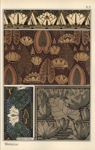 The Water Lily, Nelumbo lutea, in Fabric, Cross-Stitch Tapestry, and Relief Mold Patterns. Lithograph by C. G. Schlumberger