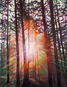 Sunburst