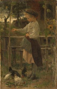 Feeding Chickens