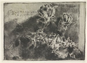 Rose Branch