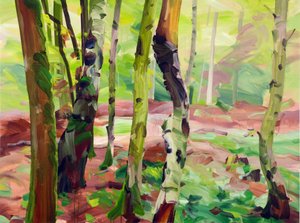 Forest 21, 2017