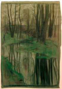 Riparian Forest (Sarnau)