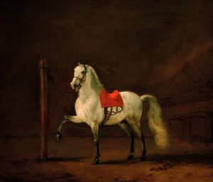A White Horse in the Stable