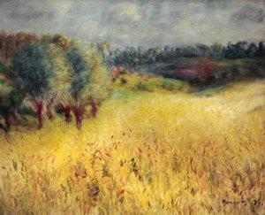 The Cornfield