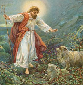 Jesus Christ, the tender shepherd