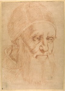 Pope Julius II, after a cartoon by Raphael