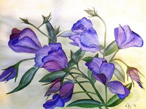 Purple Flowers