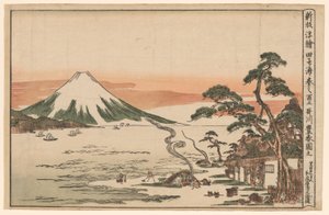 Newly Published Perspective Picture of Mount Fuji in Spring from Tagonoura