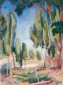Poplars and Young Fields