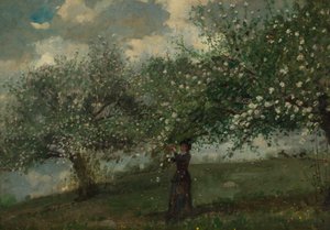 Girl Picking Apple Blossoms