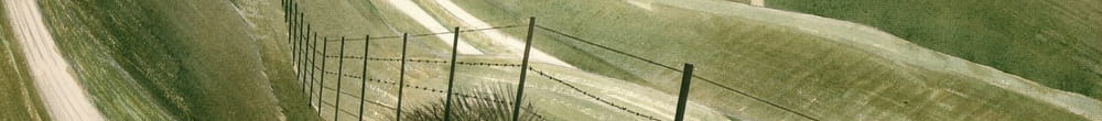 Chalk Paths (Eric Ravilious)